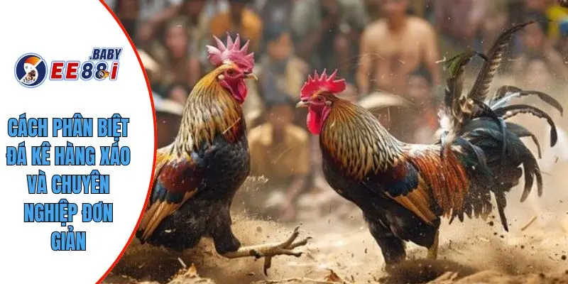 Cách phân biệt đá kê hàng xáo và chuyên nghiệp đơn giản